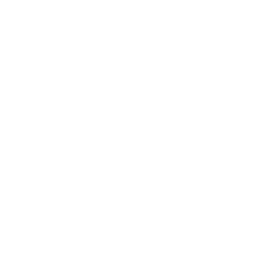 drehmoment